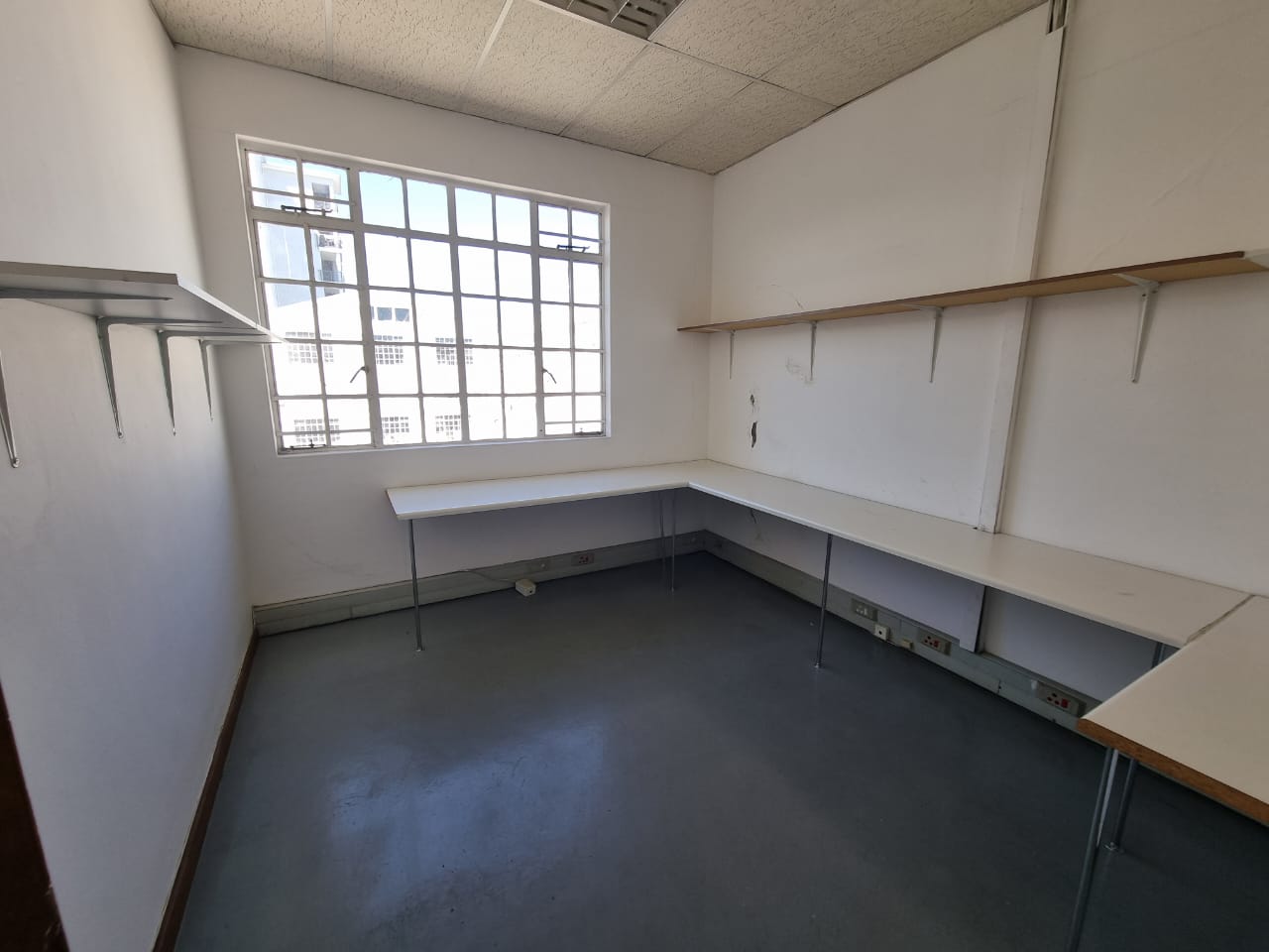 To Let commercial Property for Rent in Observatory Western Cape